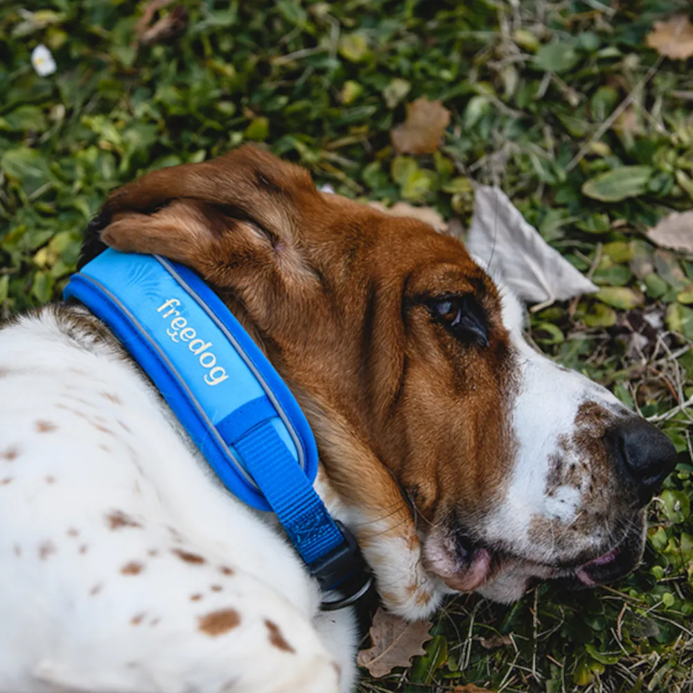 Coleira Cool Pro Tech - Freedog
