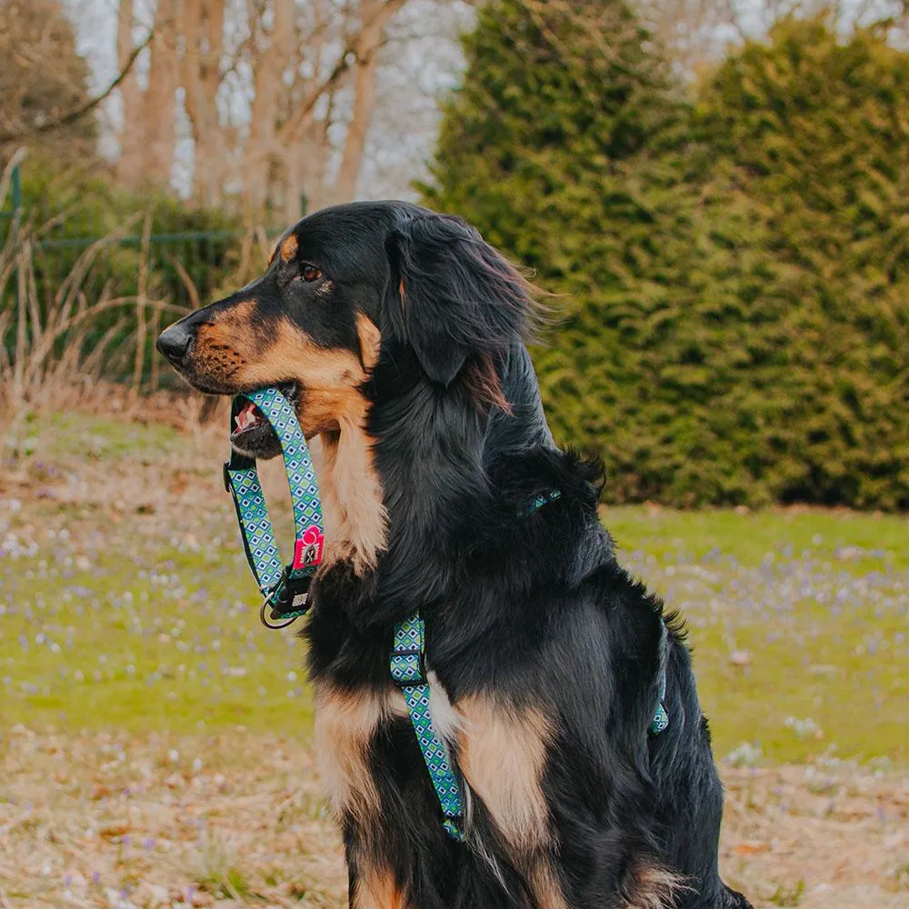 Coleira Retro com ID Tag para Cães - Max & Molly