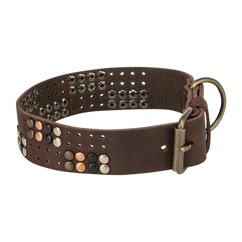 Coleira Rustic Rivet em Couro - Trixie