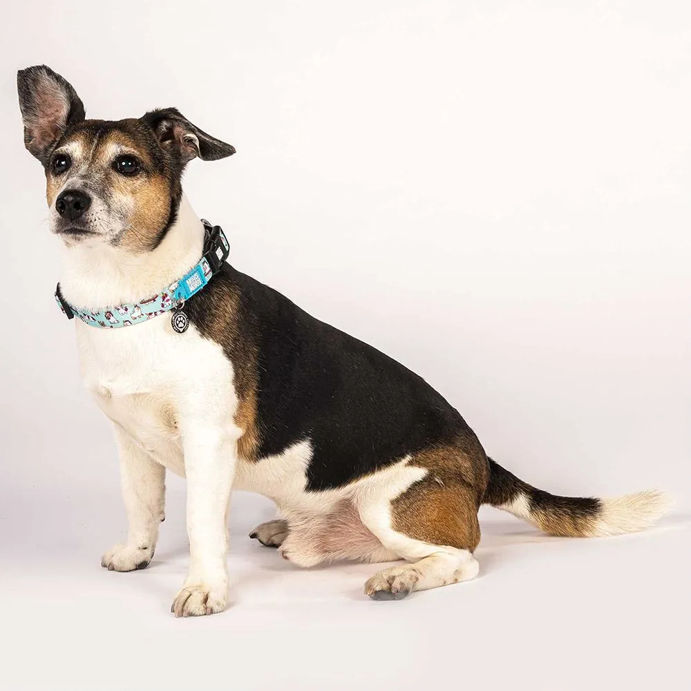 Coleira Unicorn com ID Tag para Cães - Max & Molly 5