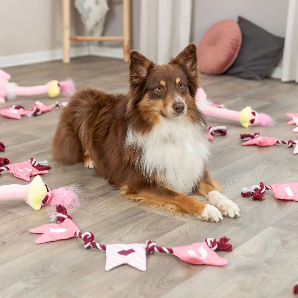 Corda de São Valentim para Cães - Trixie