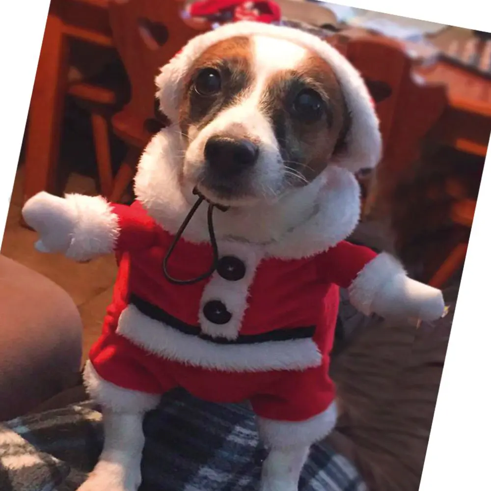 Croci - Fato Xmas Santa