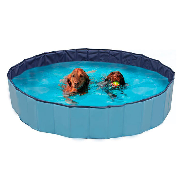 Croci - Piscina Explorer para Cães