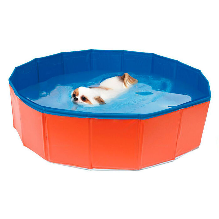Croci - Piscina para Cães
