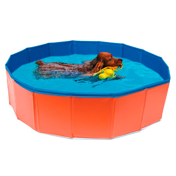 Croci - Piscina para Cães