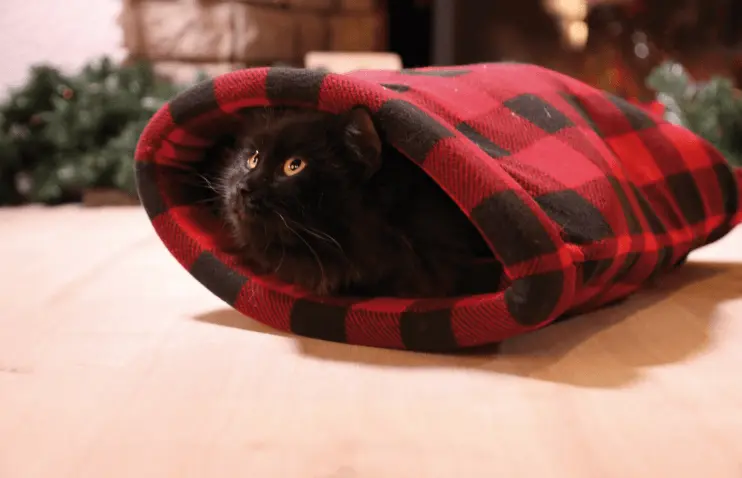 Croci - Saco Cama Scottish para Cães e Gatos