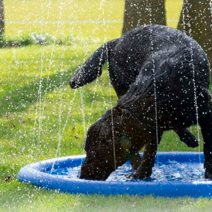 Croci - Tapete com Chafariz Fun Splash para Cães
