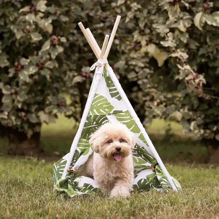 Croci - Tenda Jungle Tepee