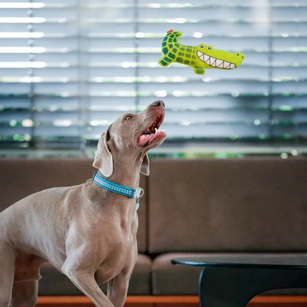Crocodile - Brinquedo para Cães - RedDingo Durables
