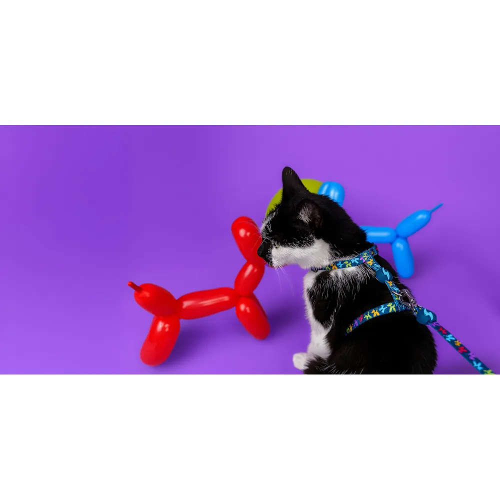 Dashi Arnês + Trela Bloop para Gatos