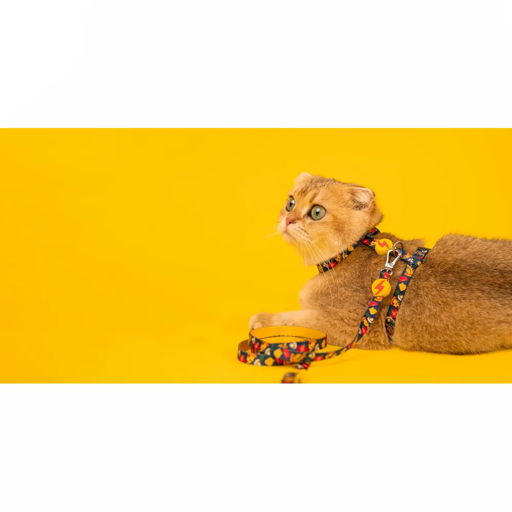 Dashi Arnês + Trela Cheesy para Gatos