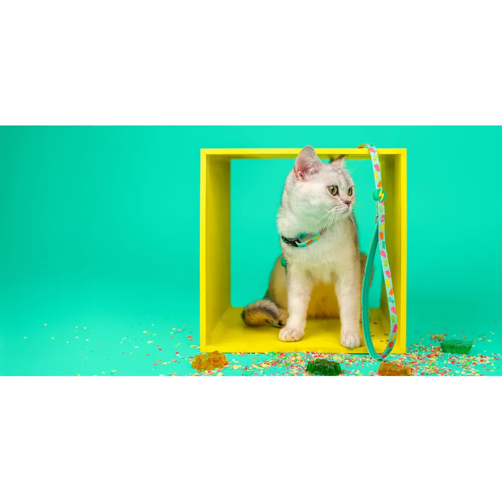 Dashi Arnês + Trela Gummy para Gatos