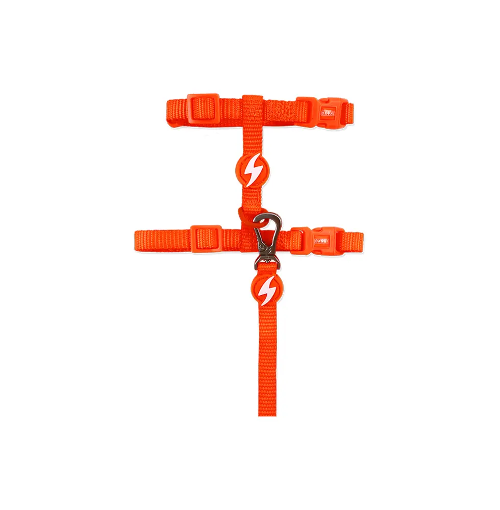 Dashi Arnês + Trela Neon para Gatos