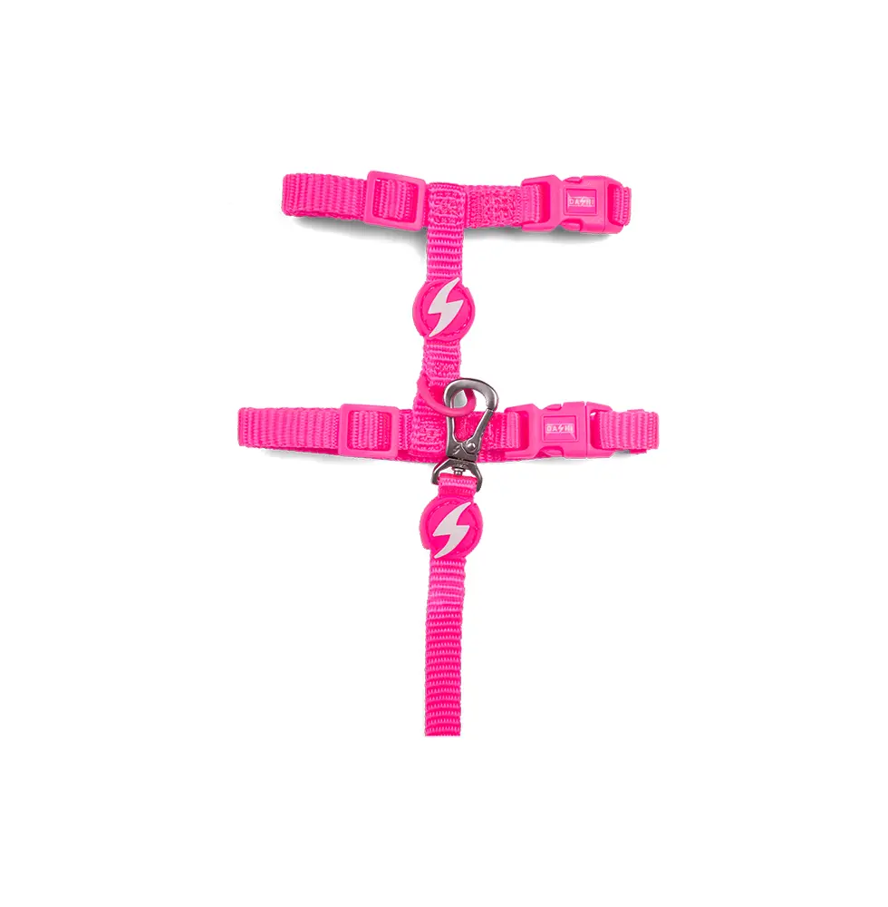Dashi Arnês + Trela Neon para Gatos