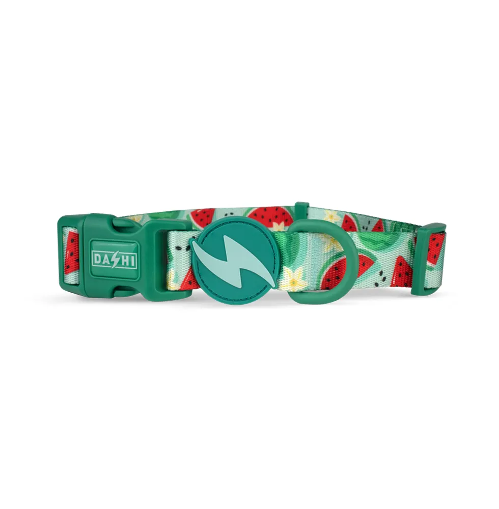Dashi Coleira Eco-Breeze