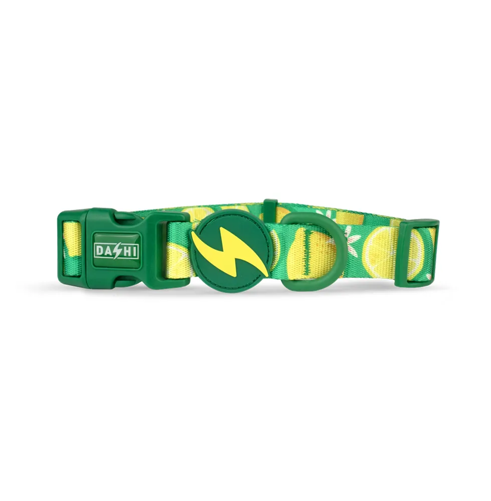 Dashi Coleira Eco-Rio