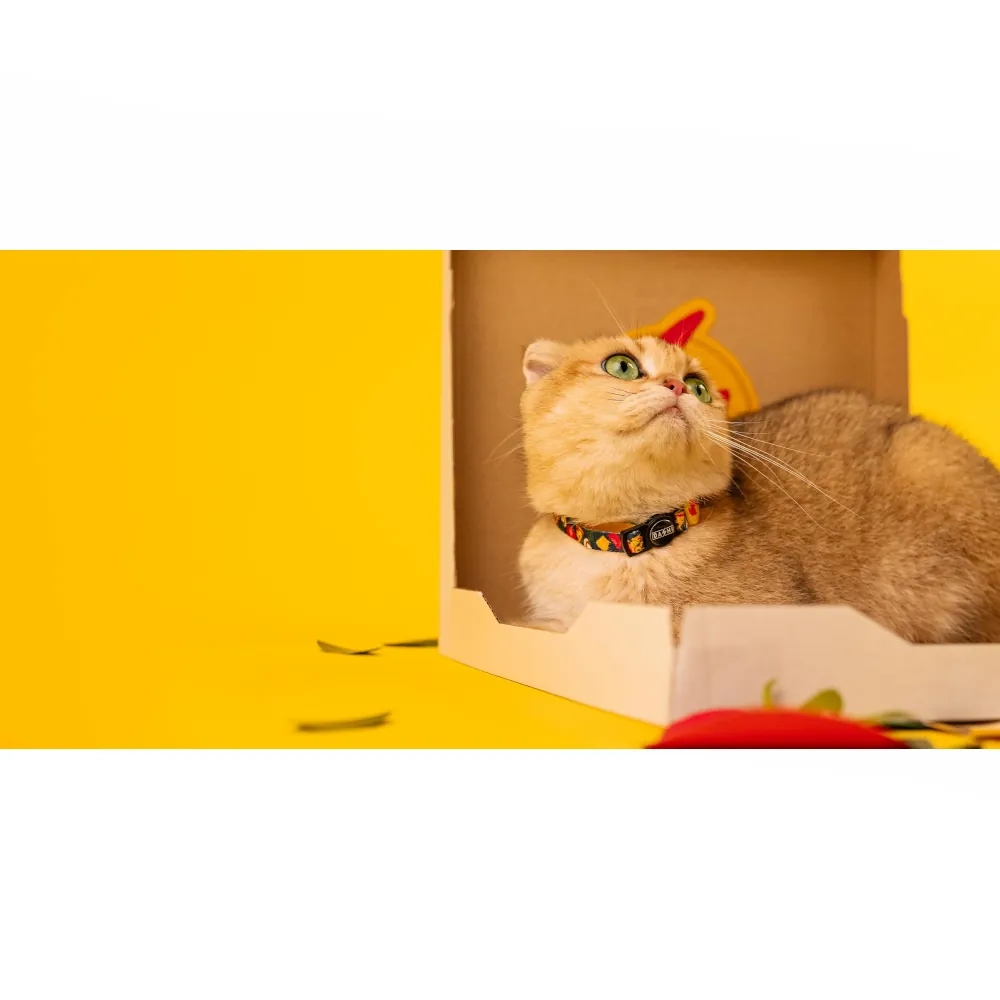 Dashi Coleira Gato Cheesy