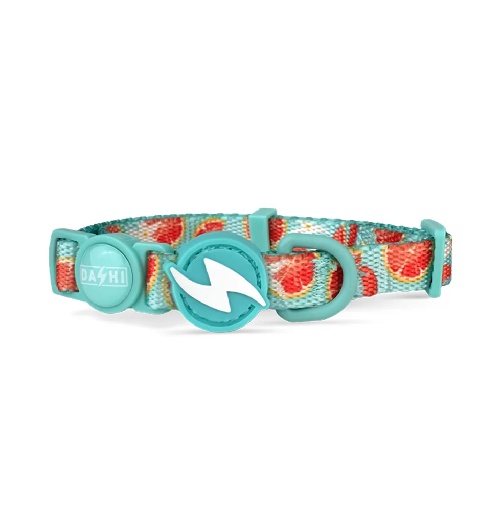 Dashi Coleira Gato Eco-Caribe