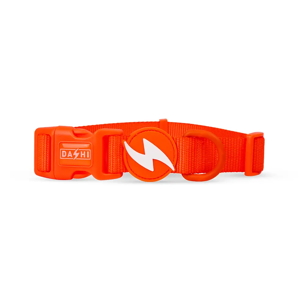 Dashi Coleira Neon