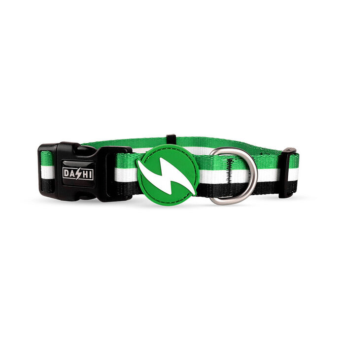 Dashi Coleira Stripes³ - Green & Black