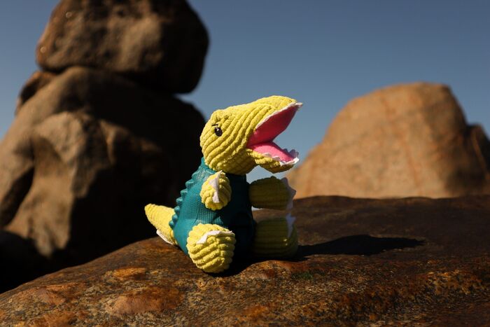 Dashi Dino Toys - Rexi
