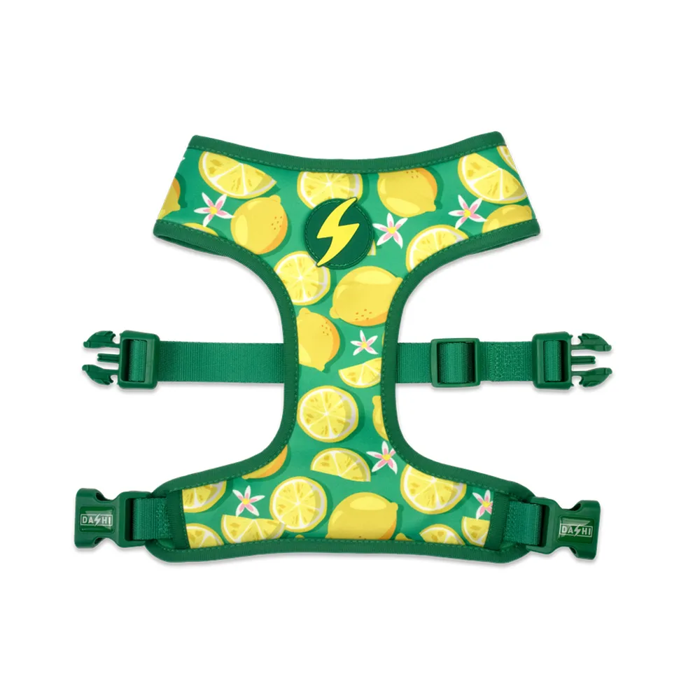 Dashi Neo Mesh Eco-Rio