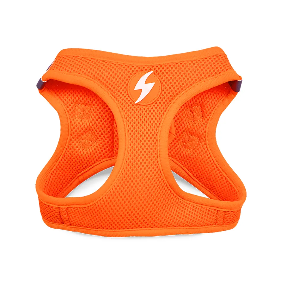 Dashi Oxy Mesh Neon
