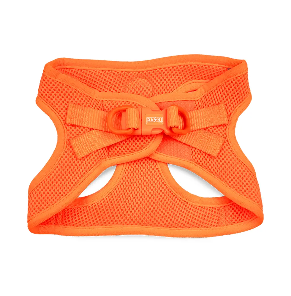 Dashi Oxy Mesh Neon