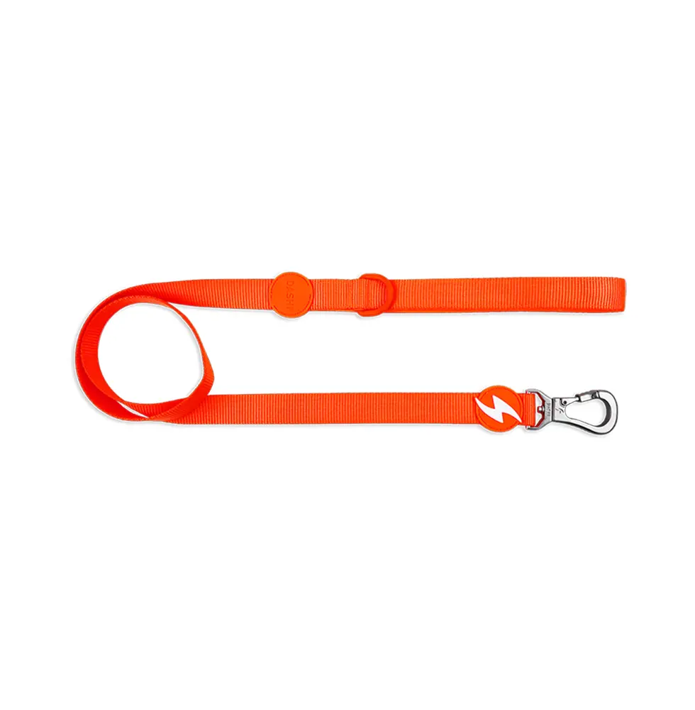 Dashi Trela Neon