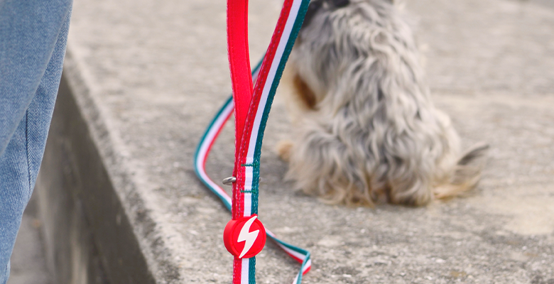 Dashi Trela Stripes³ - Green & Red