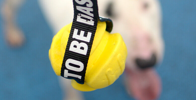 Dashi Yellow TPR Ball