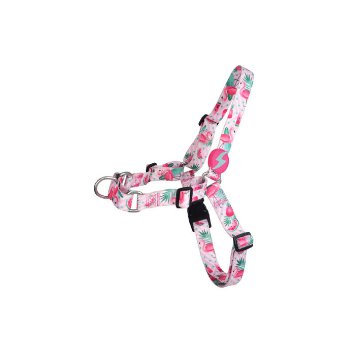 Dashi Arnês Frontal Flamingo