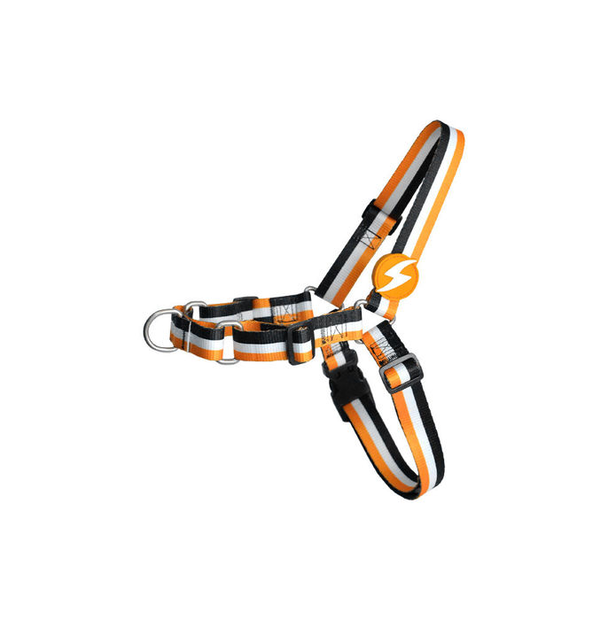Dashi Arnês Frontal Stripes³ - Orange & Black