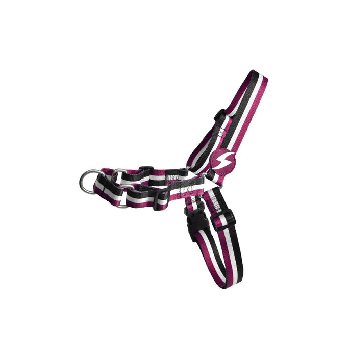 Dashi Arnês Frontal Stripes³ - Purple & Black