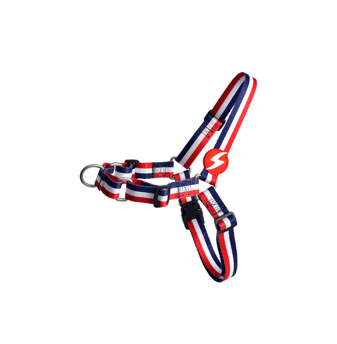 Dashi Arnês Frontal Stripes³ - Red & Blue