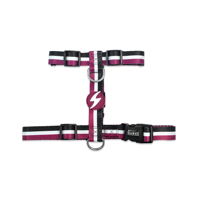 Dashi Arnês Stripes³ - Purple & Black