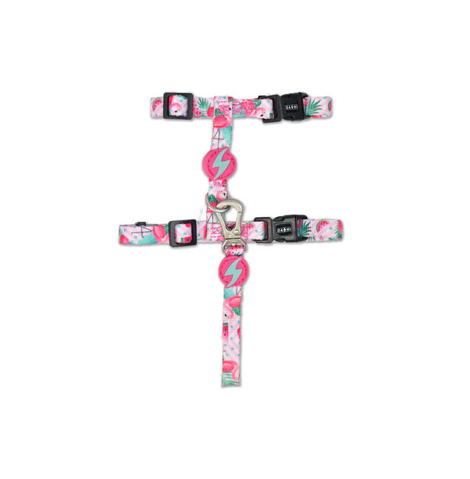 Dashi Arnês + Trela Flamingo para Gatos