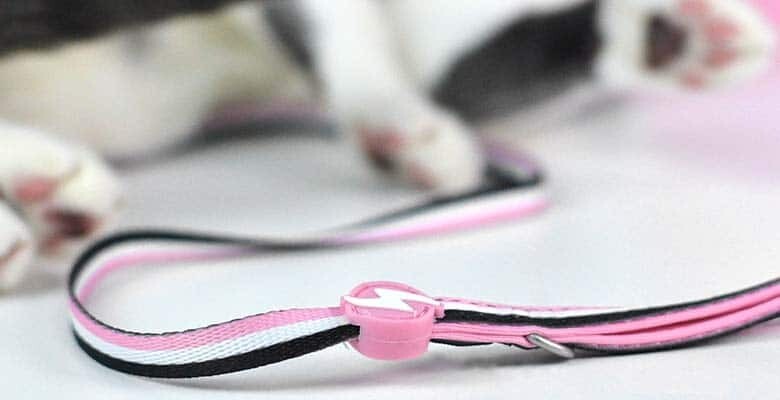 Dashi Arnês + Trela Stripes³ para Gatos - Pink & Black 2