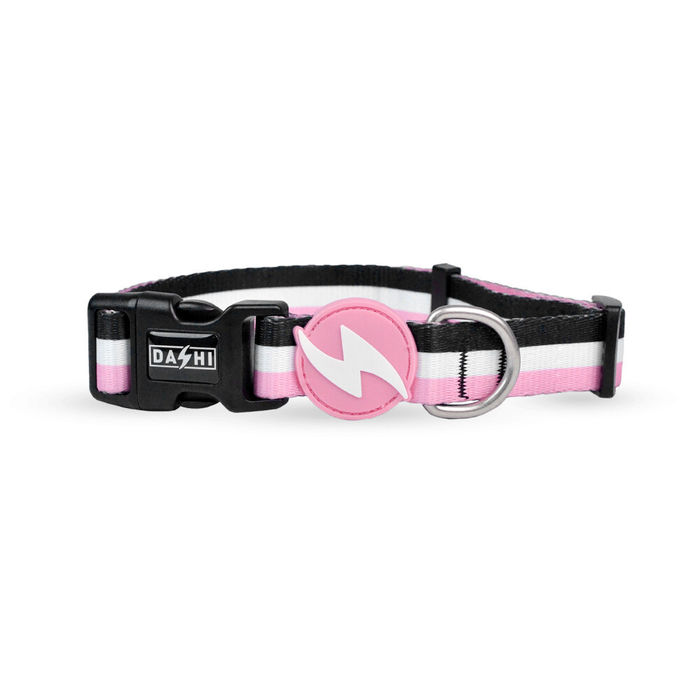 Dashi Coleira Stripes³ - Pink & Black