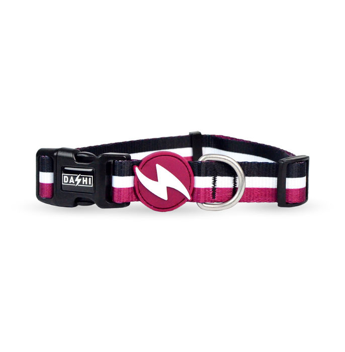 Dashi Coleira Stripes³ - Purple & Black