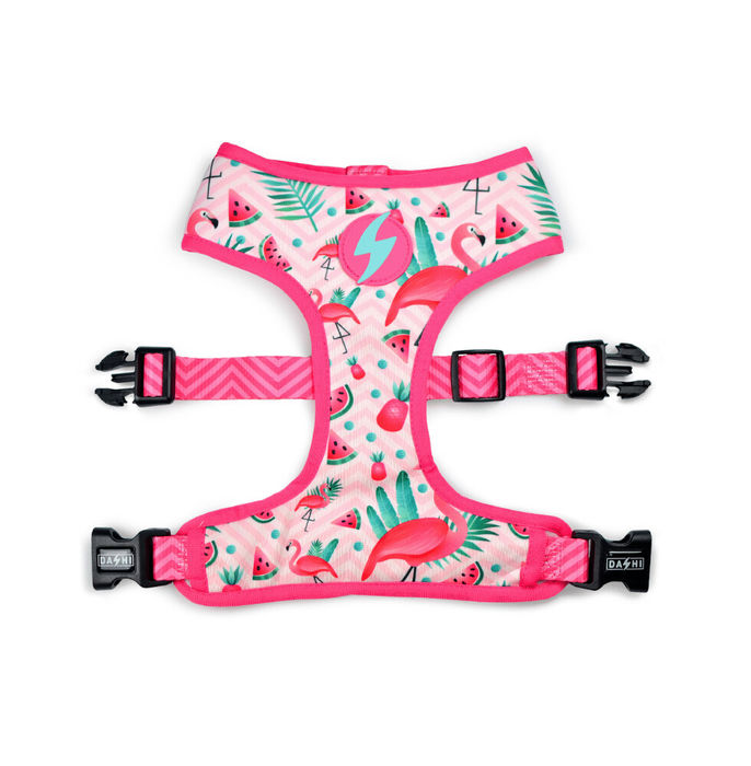 Dashi Neo Mesh Flamingo