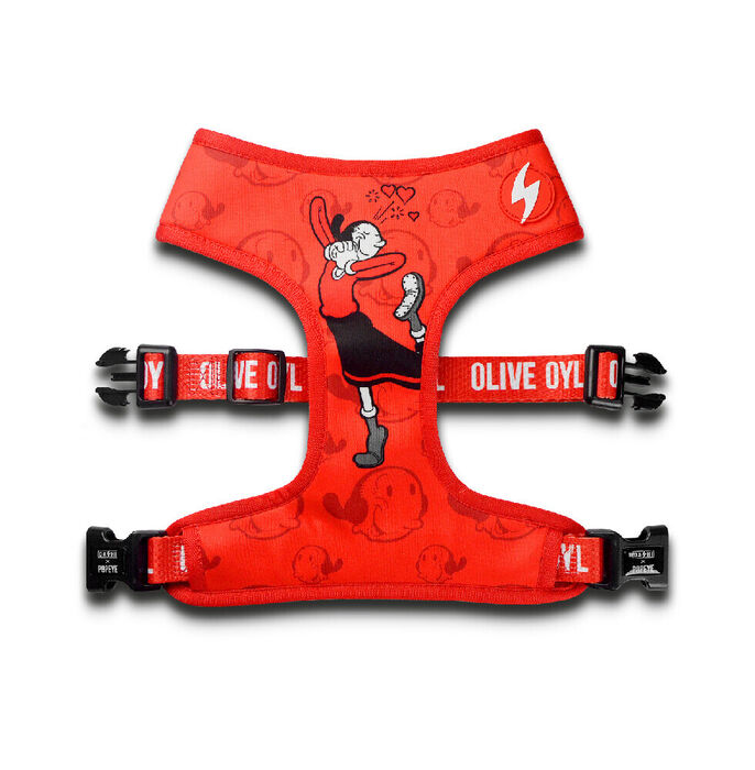 Dashi Neo Mesh Olive Oyl