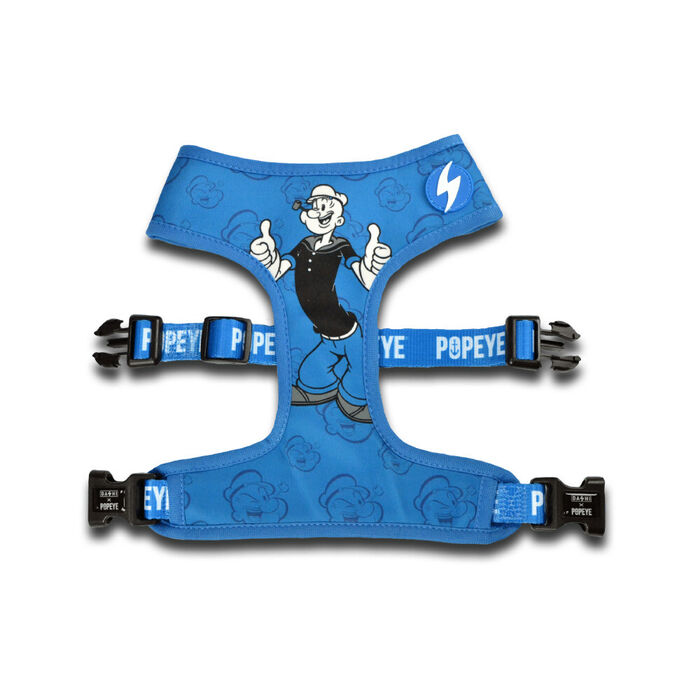 Dashi Neo Mesh Popeye