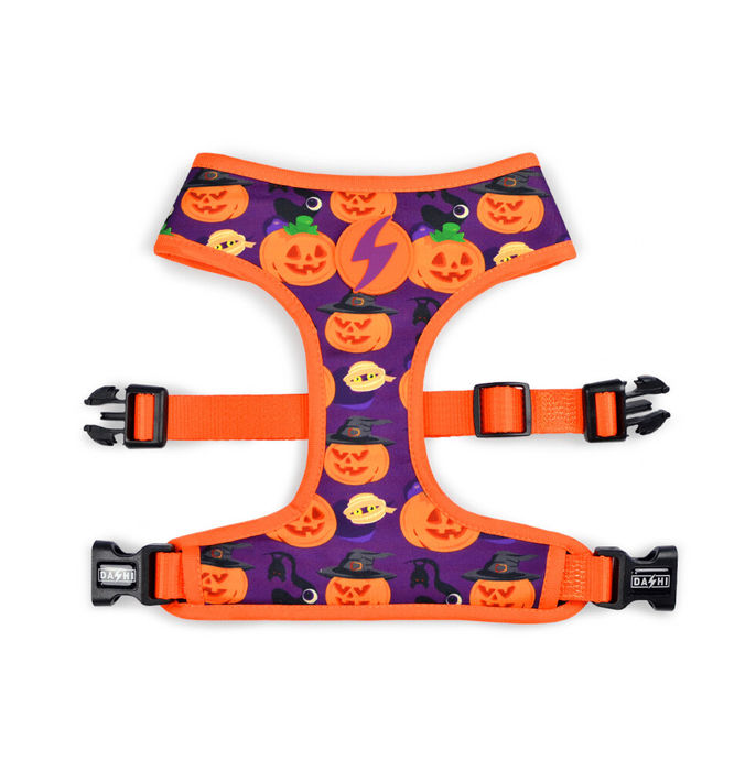 Dashi Neo Mesh Pumpkin