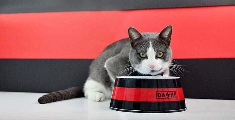Dashi Stripes³ Bowl - Red & Black