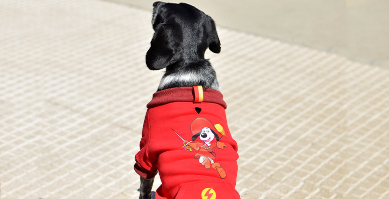 Dashi Sweatshirt Dogtanian