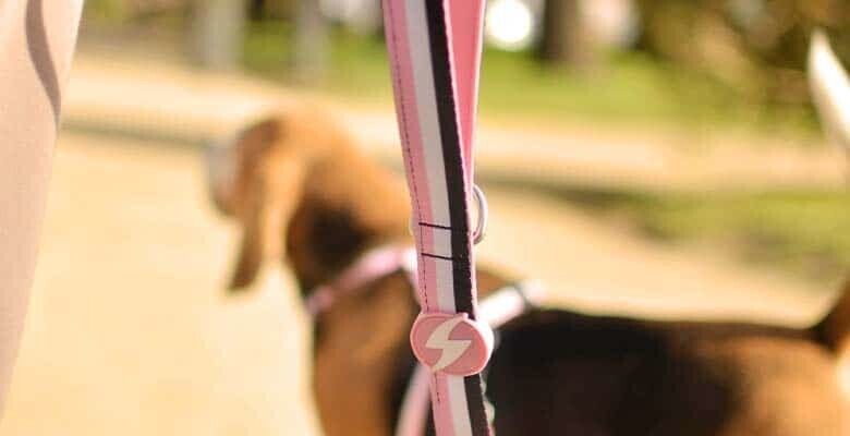 Dashi Trela Stripes³ - Pink & Black