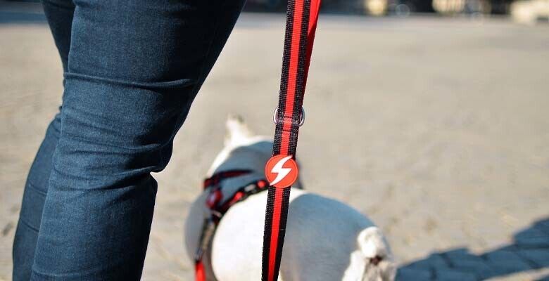 Dashi Trela Stripes³ - Red & Black