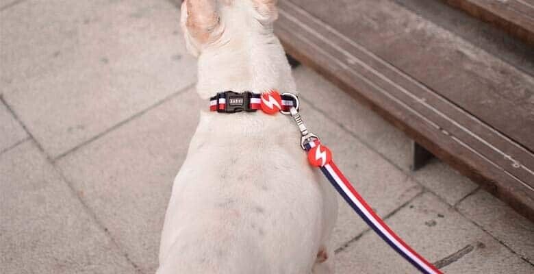 Dashi Trela Stripes³ - Red & Blue