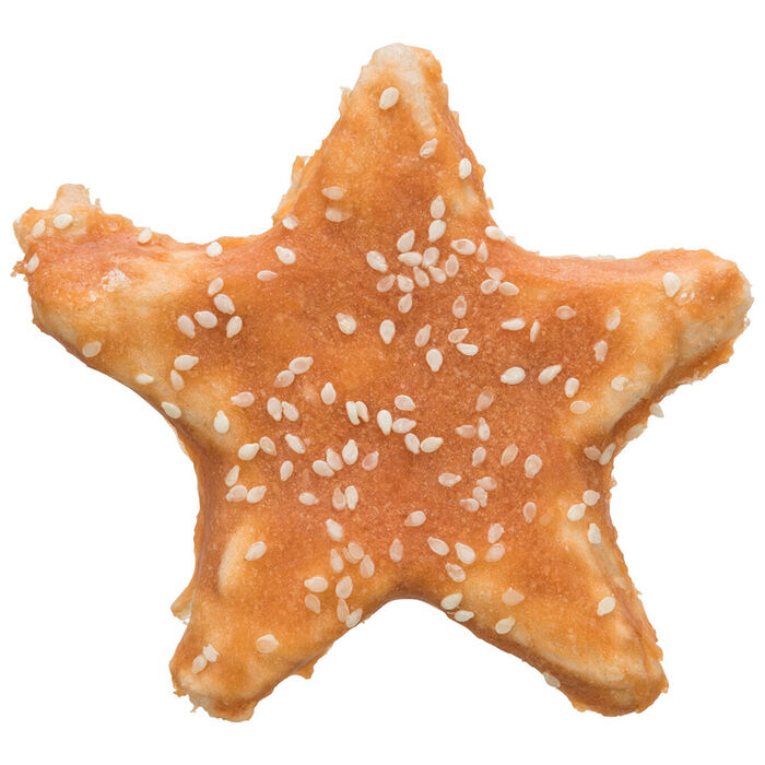Dentafun - Chicken Star - Trixie